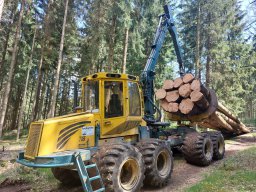 Holzrückung1